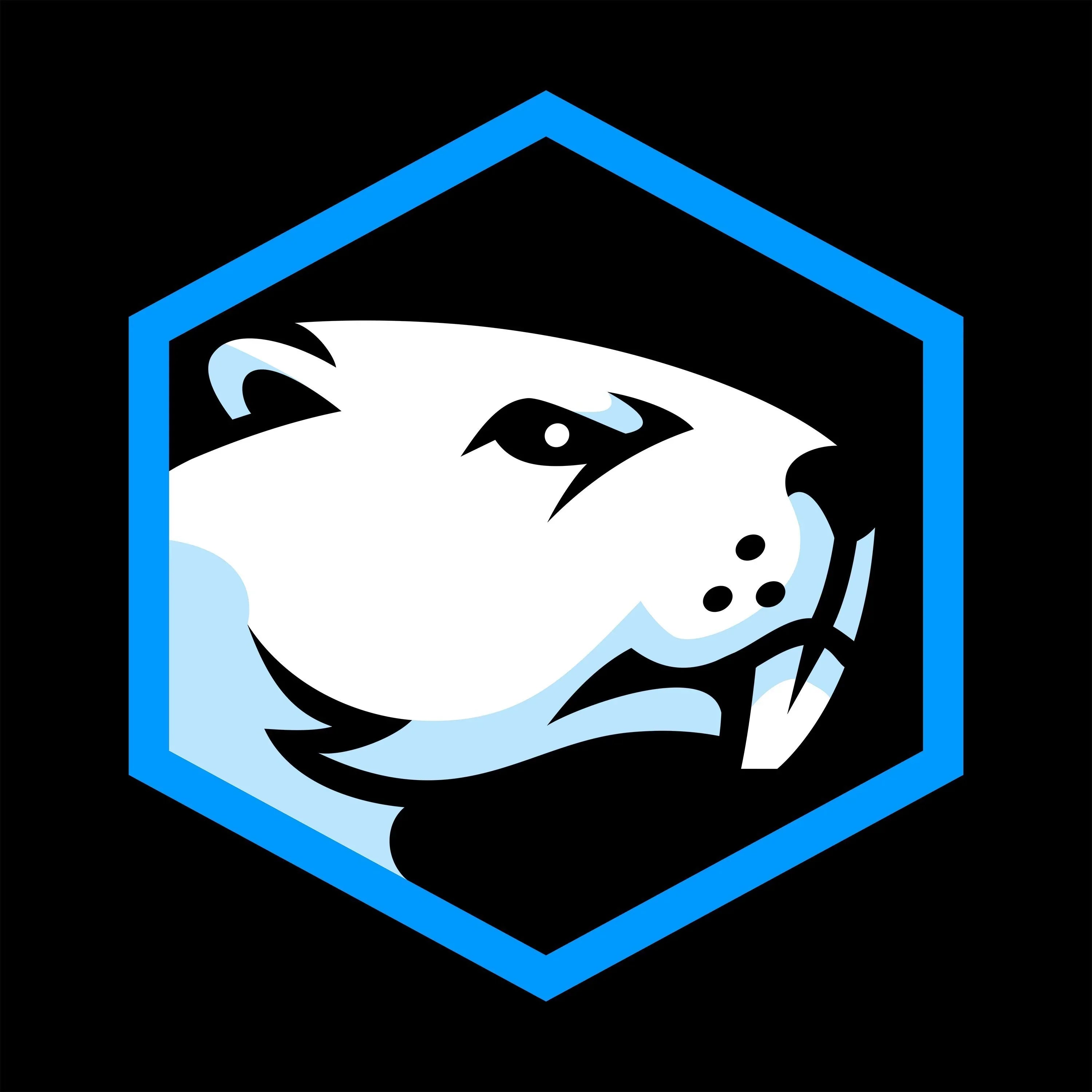 Summer Update - Battle Beaver Customs