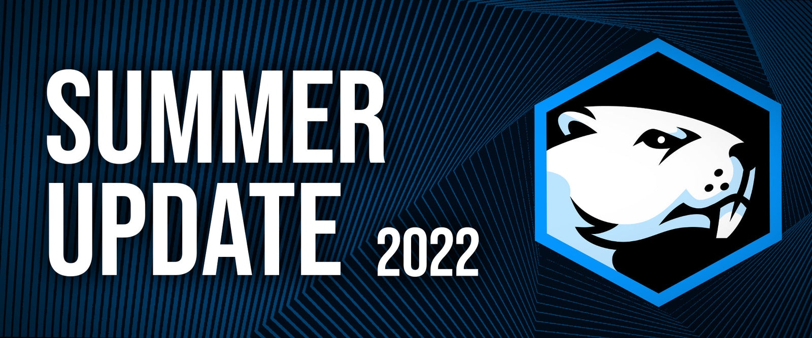Summer Update 2022 - Battle Beaver Customs