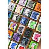 Xbox Controller Collection